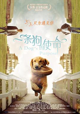 麻豆影视在线观看